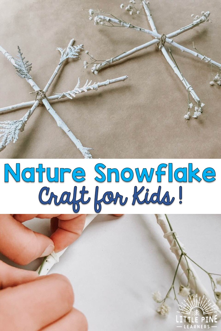 Nature Snowflake Craft for Kids • Little Pine Learners